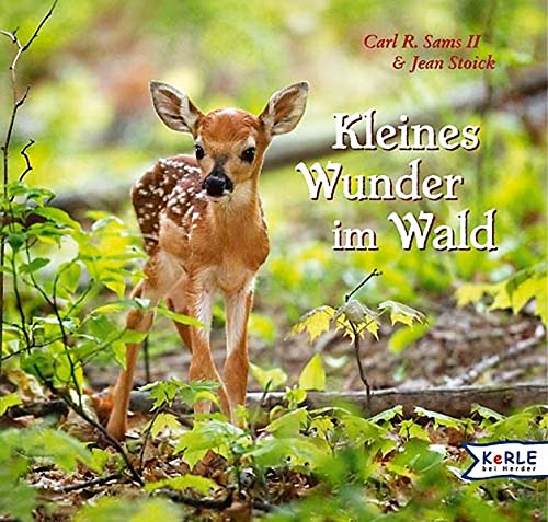 Imagen de archivo de Kleines Wunder im Wald: Ein fotografisches Mrchen a la venta por medimops