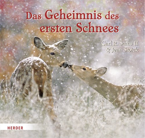 9783451709029: Das Geheimnis des ersten Schnees