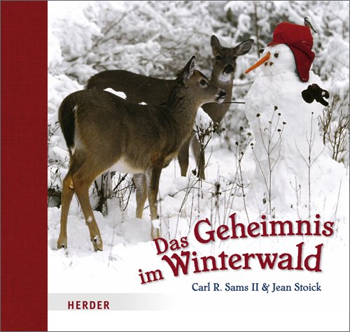 Imagen de archivo de Das Geheimnis im Winterwald a la venta por medimops