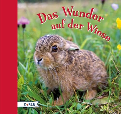 Das Wunder auf der Wiese