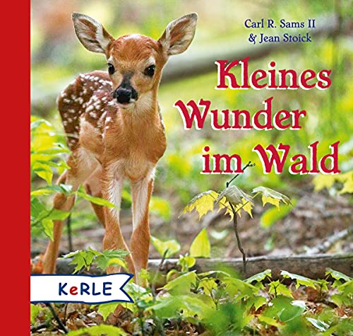 Imagen de archivo de Kleines Wunder im Wald a la venta por medimops