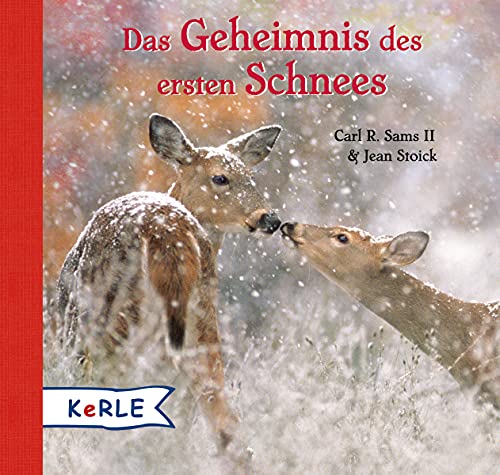 9783451712555: Das Geheimnis des ersten Schnees