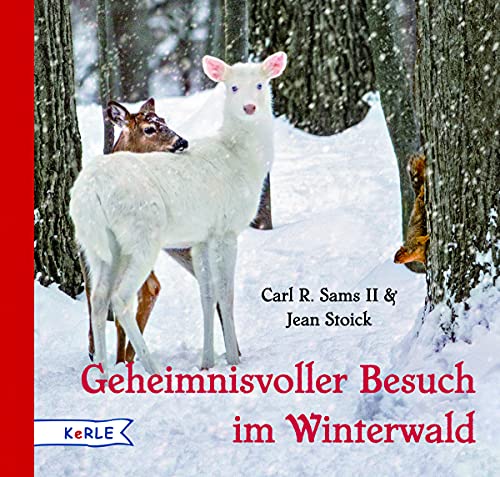 9783451713781: Geheimnisvoller Besuch im Winterwald