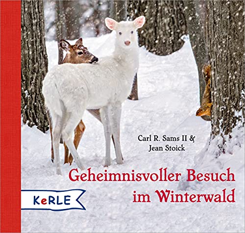 Imagen de archivo de Geheimnisvoller Besuch im Winterwald Mini a la venta por medimops