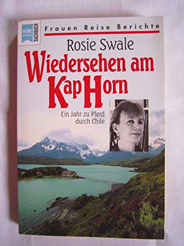 Beispielbild fr Wiedersehen am Kap Horn. Ein Jahr zu Pferd durch Chile. zum Verkauf von medimops