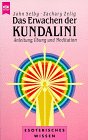 9783453093454: Das Erwachen der Kundalini