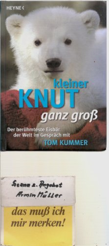 Stock image for Kleiner Knut ganz gro? for sale by Martin Greif Buch und Schallplatte