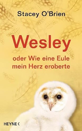 Beispielbild fr Wesley: oder Wie eine Eule mein Herz eroberte zum Verkauf von medimops