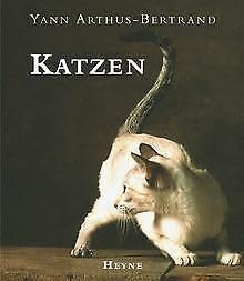 Beispielbild fr Katzen zum Verkauf von medimops