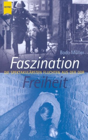 Stock image for Faszination Freiheit for sale by medimops