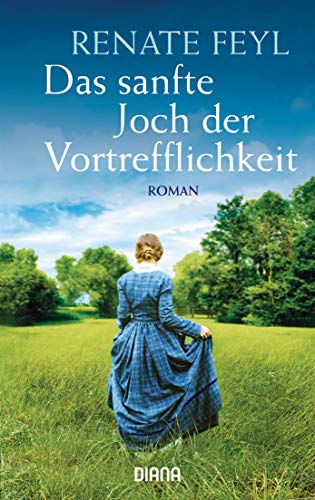 Stock image for Das sanfte Joch der Vortrefflichkeit : Roman. for sale by Antiquariat Johannes Hauschild