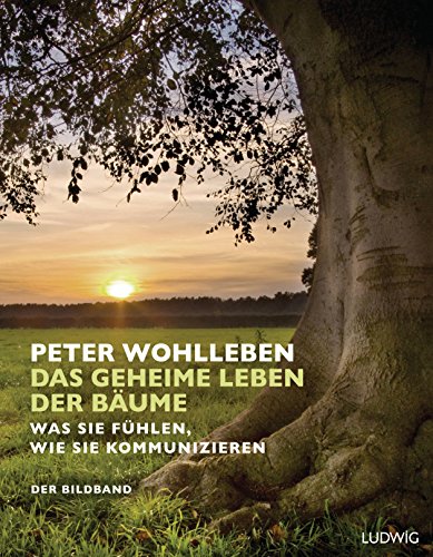 Beispielbild fr Das geheime Leben der Bume: Was sie fhlen, wie sie kommunizieren. Der Bildband zum Verkauf von medimops