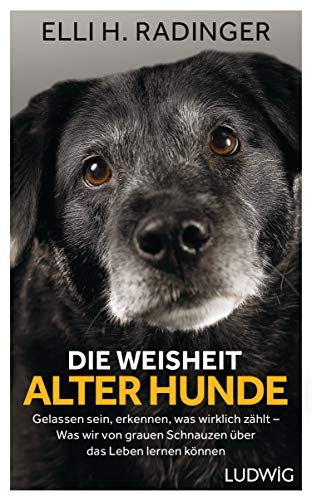 Beispielbild fr Die Weisheit alter Hunde: Gelassen sein, erkennen, was wirklich zhlt - Was wir von grauen Schnauzen ber das Leben lernen knnen zum Verkauf von Ammareal