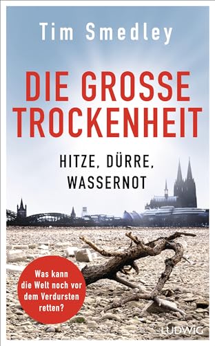 Imagen de archivo de Die gro�e Trockenheit: Hitze, D�rre, Wassernot - Was kann die Welt noch vor dem Verdursten retten? a la venta por Chiron Media