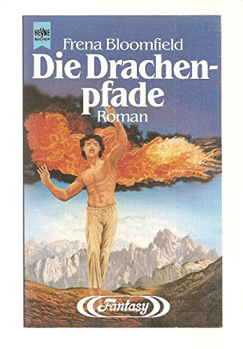 Stock image for Die Drachenpfade Dunkelwelt 1 for sale by Storisende Versandbuchhandlung