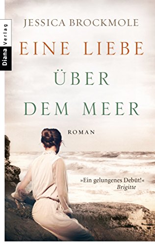 Stock image for Eine Liebe ber dem Meer: Roman for sale by medimops
