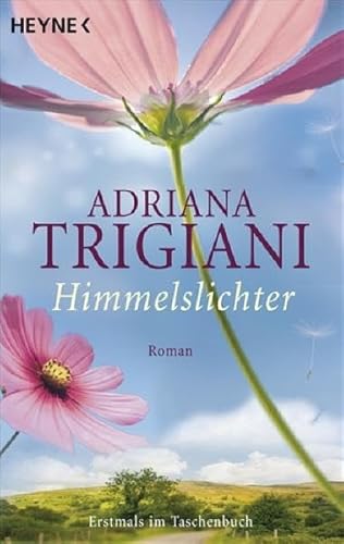 9783453406605: Himmelslichter: Roman