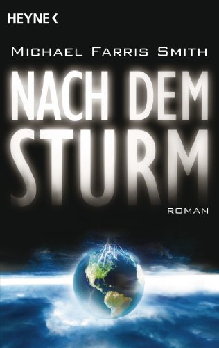Stock image for Nach dem Sturm: Roman for sale by medimops