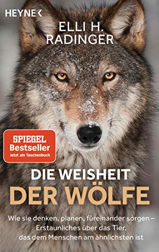 Beispielbild fr Die Weisheit der Wlfe: Wie sie denken, planen, freinander sorgen. Erstaunliches ber das Tier, das dem Menschen am hnlichsten ist zum Verkauf von medimops