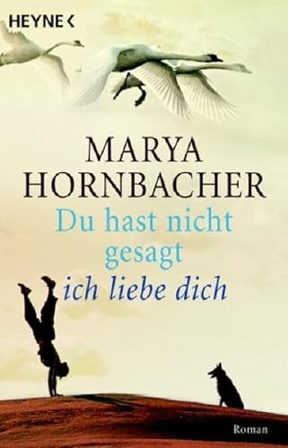 Stock image for Du hast nicht gesagt, ich liebe dich: Roman for sale by Gabis Bcherlager