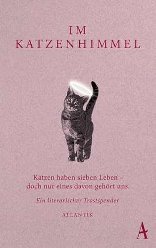 9783455370041: Im Katzenhimmel