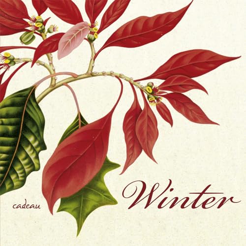 Stock image for Winter: Ein Poesiealbum - zusammengestellt von Gnter Berg for sale by medimops