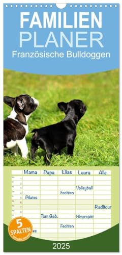 Imagen de archivo de Familienplaner 2025 - Franzsische Bulldoggen mit 5 Spalten (Wandkalender, 21 x 45 cm) CALVENDO : Welpen in Aktion a la venta por AHA-BUCH GmbH