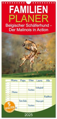 Stock image for Familienplaner 2025 - Belgischer Schferhund - Der Malinois in Action mit 5 Spalten (Wandkalender, 21 x 45 cm) CALVENDO : Der Kalender fr Malinois-Freunde for sale by AHA-BUCH GmbH