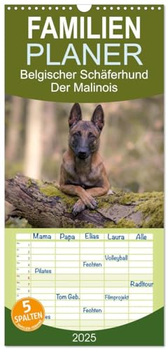 Stock image for Familienplaner 2025 - Belgischer Schferhund - Der Malinois mit 5 Spalten (Wandkalender, 21 x 45 cm) CALVENDO : Die Facetten einer Hunderasse for sale by AHA-BUCH GmbH