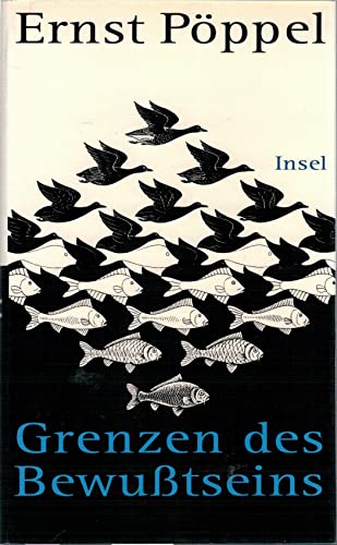 Beispielbild fr Grenzen des Bewutseins. Wie kommen wir zur Zeit, und wie entsteht Wirklichkeit? zum Verkauf von medimops