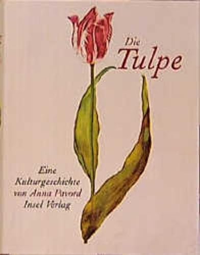 Imagen de archivo de Die Tulpe : Eine Kulturgeschichte a la venta por Buchpark