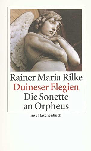 Beispielbild für Duineser Elegien / Die Sonette an Orpheus zum Verkauf von Better World Books
