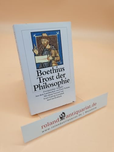 9783458329152: Trost der Philosophie