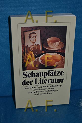Imagen de archivo de Schaupltze der Literatur. Vom Zauberberg zur Strudlhofstiege. a la venta por MusicMagpie