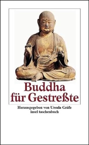Imagen de archivo de Buddha fr Gestrete. hrsg. von Ursula Grfe a la venta por Mephisto-Antiquariat