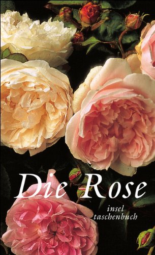 9783458343196: Die Rose