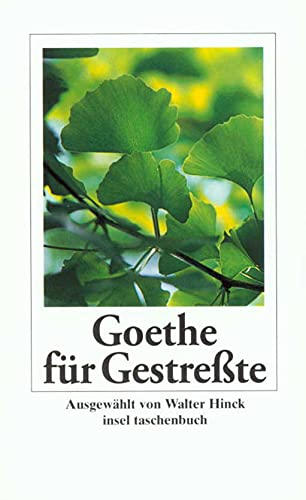 9783458343752: Goethe Fur Gestresste