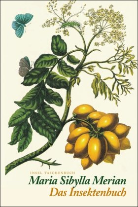 Beispielbild für Das Insektenbuch: Metamorphosis Insectorum Surinamensium (insel taschenbuch) zum Verkauf von medimops