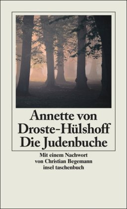 Beispielbild fr Die Judenbuche: Ein Sittengemlde aus dem gebirgichten Westfalen: Ein Sittengemlde aus dem gebirgichten Westphalen - Mit der "Geschichte eines Algierer-Sklaven" (insel taschenbuch) zum Verkauf von medimops