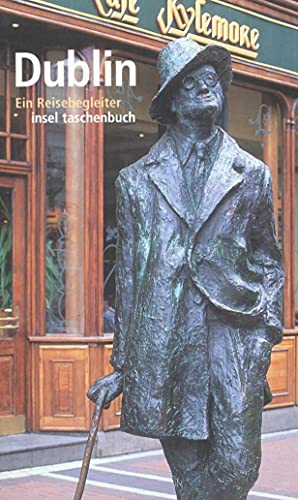 Dublin: Ein Reisebegleiter (insel taschenbuch) - Hans-Christian Oeser
