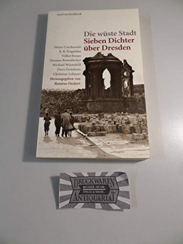 Die wüste Stadt: Sieben Dichter über Dresden (insel taschenbuch)