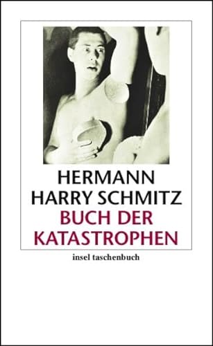 Stock image for Buch der Katastrophen: Satirische Kurzgeschichten (insel taschenbuch) for sale by medimops