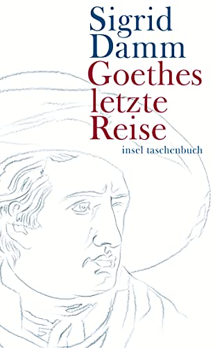 Imagen de archivo de Goethes letzte Reise (insel taschenbuch) [Taschenbuch] von Damm, Sigrid a la venta por Nietzsche-Buchhandlung OHG