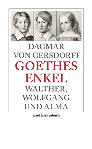 Stock image for Goethes Enkel: Walther, Wolfgang und Alma (insel taschenbuch) for sale by medimops