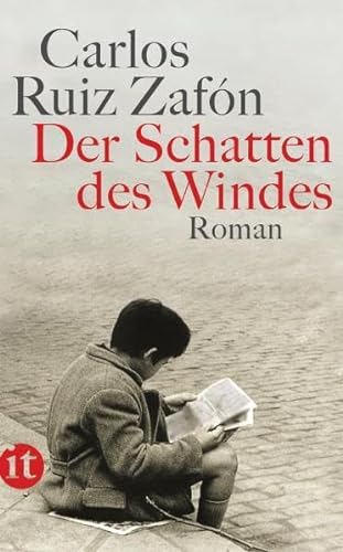 Beispielbild fr Der Schatten des Windes: Roman (insel taschenbuch) zum Verkauf von medimops