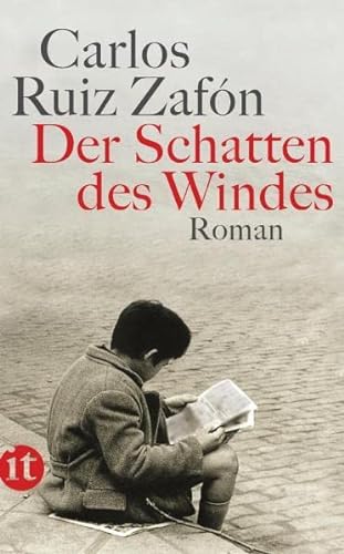 Stock image for Der Schatten des Windes for sale by Bahamut Media