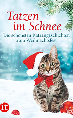 Stock image for Tatzen im Schnee: Die schnsten Katzengeschichten zum Weihnachtsfest (insel taschenbuch) for sale by medimops