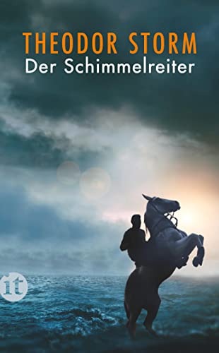 Imagen de archivo de Der Schimmelreiter: Novelle (insel taschenbuch) a la venta por medimops