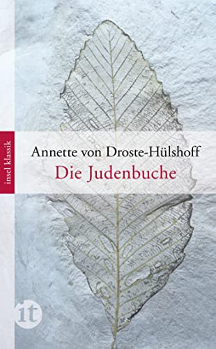9783458362418: Die Judenbuche: Ein Sittengemlde aus dem gebirgichten Westfalen