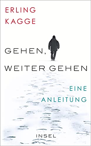 Stock image for Gehen. Weiter gehen: Eine Anleitung (insel taschenbuch) for sale by medimops